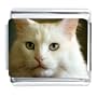 White Cat Photo Face Gift Italian Charm