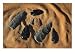Indian arrowheads in the sand., Photographic Print by Ira Block, 24x18