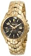 Seiko Men's SKA404 Kinetic Gold-Tone Watch