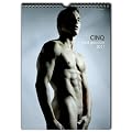 Cinq: 2011 Calendar