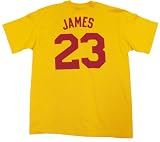 LeBron James Cleveland Cavaliers Retro Adult Player T-shirt