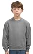 Youth Crewneck Sweatshirt