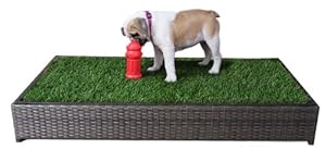 Porch Potty Standard: #1 Selling Grass Litter Box for Dogs