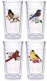 Tervis Tumblers - Songbirds - 16 oz Tumbler - set of 4 - B000Z4H0NQ