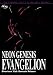 Neon Genesis Evangelion - Genesis Reborn And
