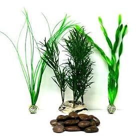 Plant Ring Mega Red Décor Kit for biOrb & biUbe Aquariums