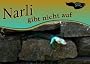 Narli gibt nicht auf