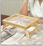 Standing Page Magnifier