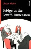 Bridge in the Fourth Dimension