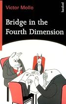 Bridge in the Fourth Dimension