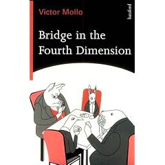 Bridge in the Fourth Dimension