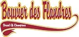 Bouvier des Flandres Breed of Champion T-Shirt
