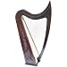 22 String Rosewood Harp with case