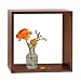 http://ecx.images-amazon.com/images/I/41MGLoYvDCL._SL75_.jpg