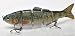 4.5 Hard Minnow - Sauger