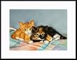 Cuddle Bums by Drew Strouble