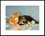 Cuddle Bums by Drew Strouble