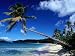 Palm Trees on Galley Beach in Leeward Islands, Antigua & Barbuda World Culture Photographic Poster Print by Wayne Walton, 24x18