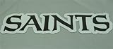 New Orleans Saints Team Name NFL Car Magnet