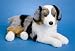 Plush Outback Australian Shepherd 18