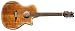 Dean Exotica Flame Maple 12-String Acoustic/Electric Cutaway Guitar w/Tuner Pre Amp Tiger Eye