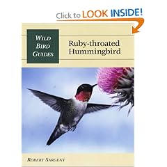 Ruby-Throated Hummingbird