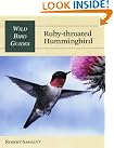 Ruby-Throated Hummingbird