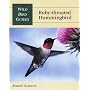 Ruby-Throated Hummingbird by Robert R. Sargent