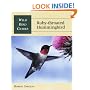 Ruby-Throated Hummingbird