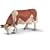 Schleich Fleckvieh Cow Grazing