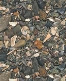 Caribsea Eco-complete Cichlid Sand 20 Pounds – 00772