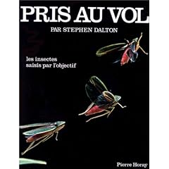 Pris au vol