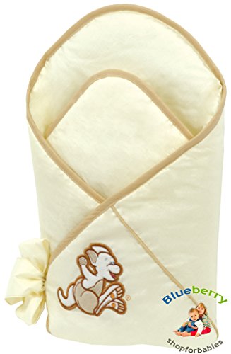 Blueberry shop pretty newborn swaddle wrap blanket duve…