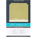 Holy Bible (Protestant) (Paperback)