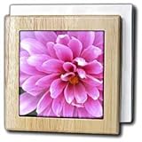 Pink Floral Expression III - 6 Inch Tile Napkin Holder