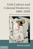 Irish culture and colonial modernity, 1800-2000 : the transformation of oral space