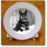 Dogs German Shepherd - German Shepherd - Plates