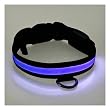 Adjustable LED Illumination Pet/Dog Collar, Large, Blue