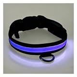 Adjustable LED Illumination Pet/Dog Collar, Medium, Blue