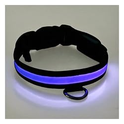 Adjustable LED Illumination Pet/Dog Collar, Medium, Blue Adjustable LED Illumination Pet/Dog Collar, Medium, Blue