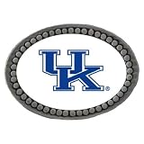 Kentucky Wildcats Logo Lapel Pin (Set of 2)