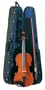 Palatino Dolce Violin Outfit, 4/4 Size