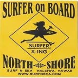 サーフンシー　ウィンドー用 ステッカー SNS-RVRSBL-WINDOW-DECAL
