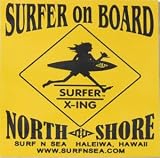サーフンシー　ウィンドー用 ステッカー SNS-RVRSBL-WINDOW-DECAL sns