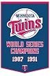 Minnesota Twins 24"x36" Wool Dynasty Banner - Baseball Sports Merchandise