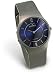 Skagen Men's 233LTTN Blue Face Titanium Mesh Bracelet Watch