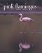 Pink Flamingos by Carlo Mari, N. J. Collar
