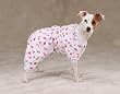 Dog Pajamas - Sweet Dreams Dog PJs - Christmas Pet Pajamas - Large