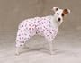 Zack & Zoey Dog Pajamas Sweet Dreams Pjs Size X-large Color White/Pink