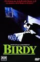 Birdy